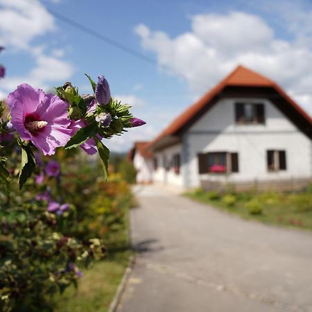 House Of Culture And Nature - Hisa Kulture In Nature Zagradec Extérieur photo