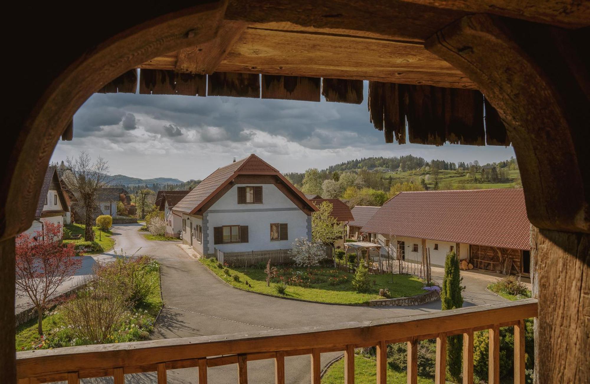 House Of Culture And Nature - Hisa Kulture In Nature Zagradec Extérieur photo