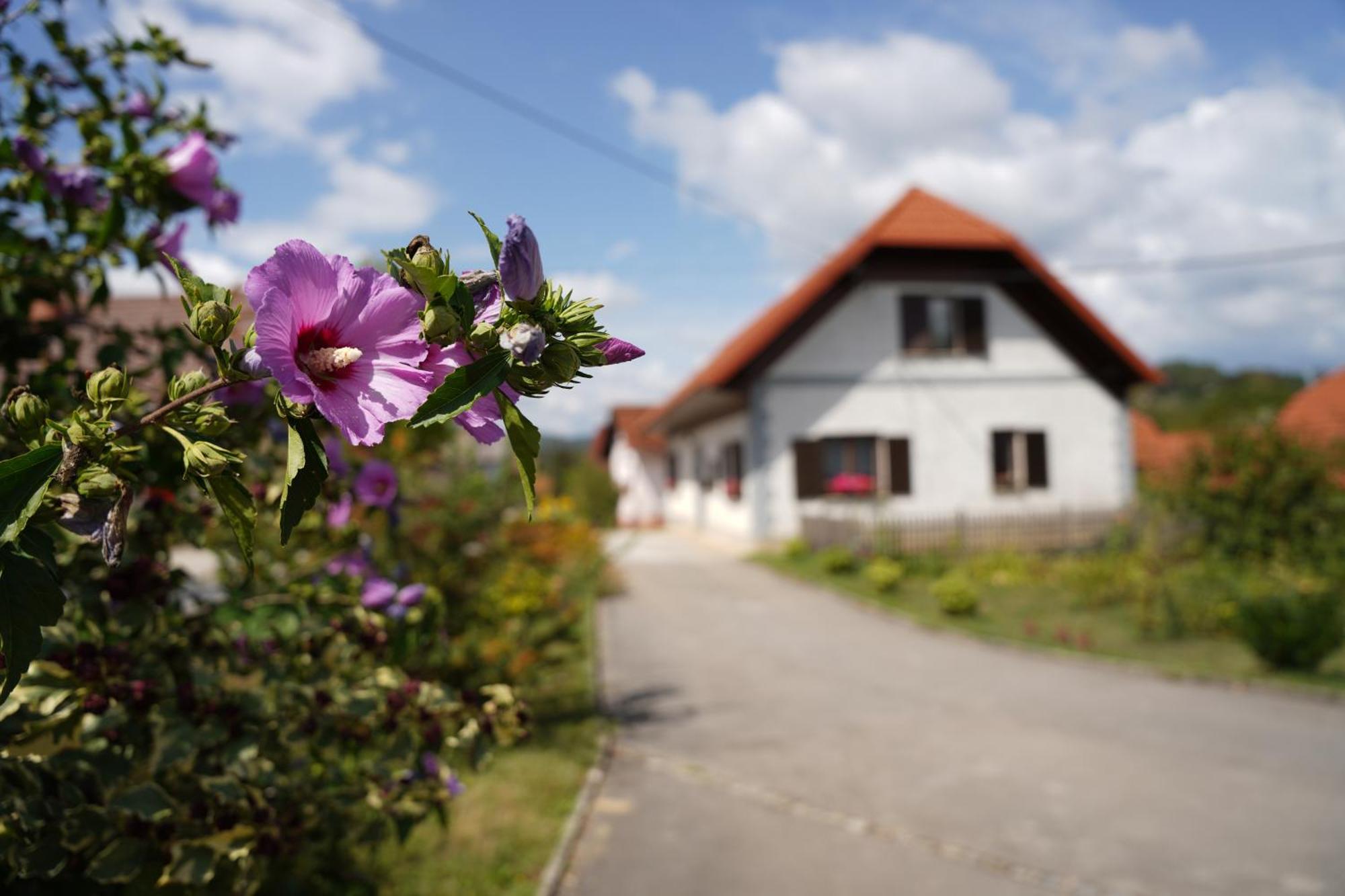 House Of Culture And Nature - Hisa Kulture In Nature Zagradec Extérieur photo